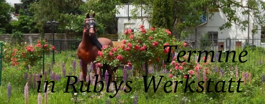 Durchs Anklicken kommen Sie auf die Seite mit den Terminen innerhalb der Werkstatt